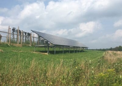 Agricultural Ground mount Solar array