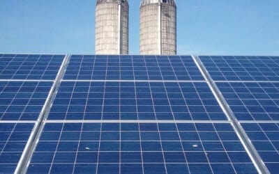 Agricultural Solar and Solar Ecology in 2021