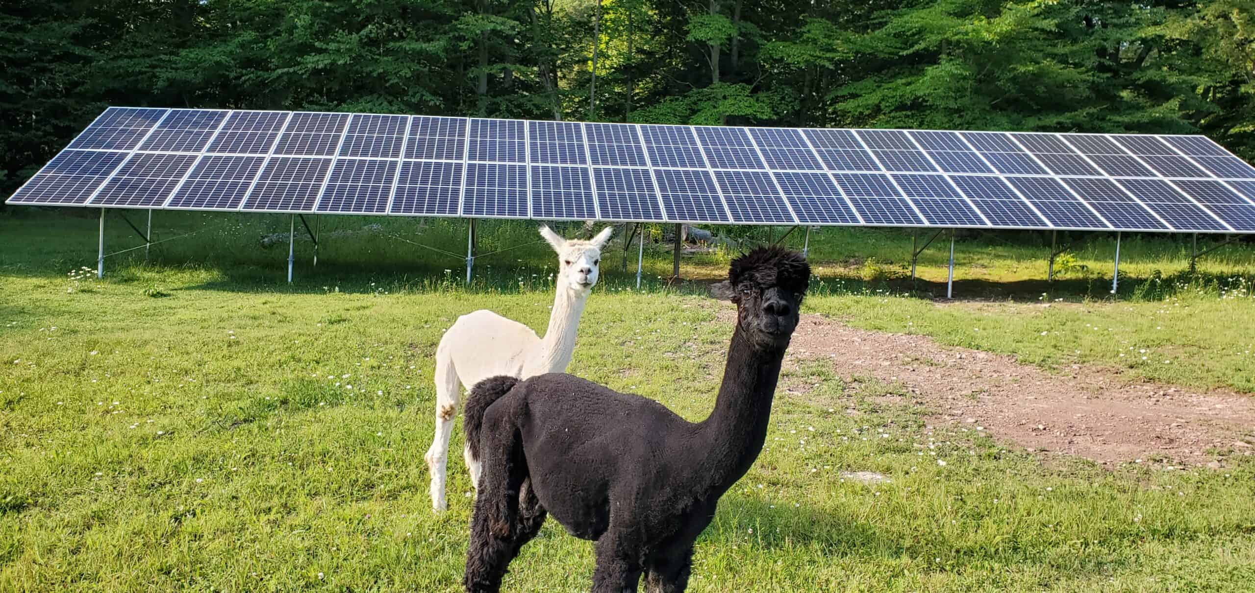 Centre County Solar for Farms